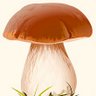 LONGEVITY FOOD profil fotoğrafı