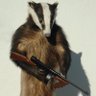 Ol Bitter Badger's profile picture