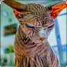 Фото профиля doeboyzee