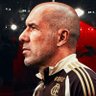 Jardim (sincero)'s profile picture