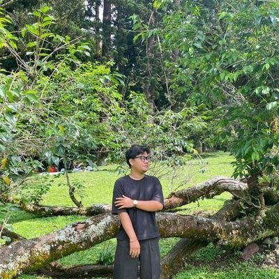 dikidawawe3's profile picture
