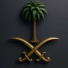 { أحمد النفيعي } 的头像