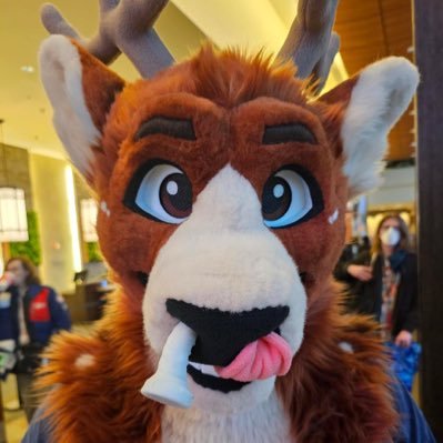 Vixen AD 🔜 AC's profile picture