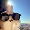 Brady profil fotoğrafı