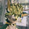 Mikkรถ ๐'s profile picture