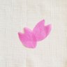 いろは's profile picture