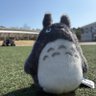 SEIZE yama's profile picture