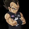 Prince of All Saiyans 的头像