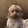 loga profil fotoğrafı