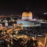 حافظ شعیب's profile picture