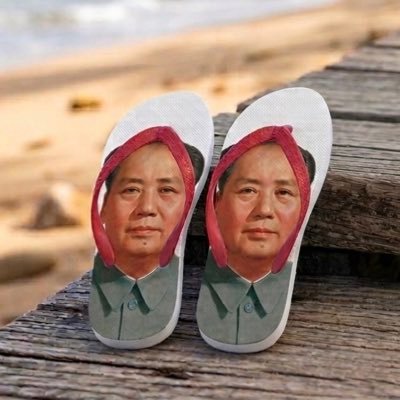 Mao Tsé Tong's profile picture