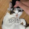 아찔한김계단의유혹's profile picture