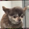 ♛ 𝔹𝕒𝕒𝕝𝕥's profile picture