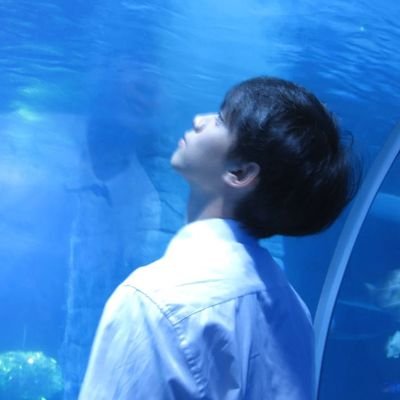 novalfrza's profile picture