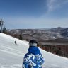 北陸テイオー's profile picture