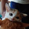 おと's profile picture