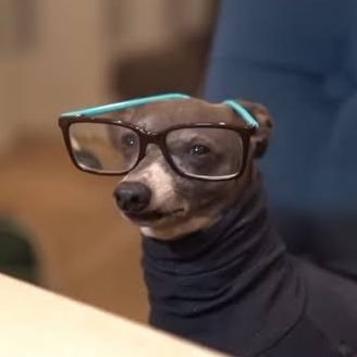 researcherdaisy's profile picture