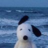Profilbild von giu⁷ ARIRANG