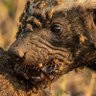Profilbild von KE 🇰🇪MAN🦡