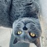 emilio's profile picture