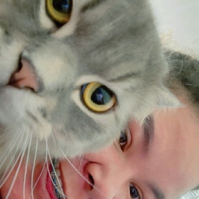 เด็กอ้วนๆ🐷's profile picture