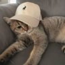 Breeze's profile picture