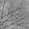 Фото профиля UKnowNothing