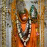 Фото профиля Vishal maddeshiya