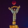 Фото профиля боецскота