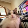 Profilbild von Fhat