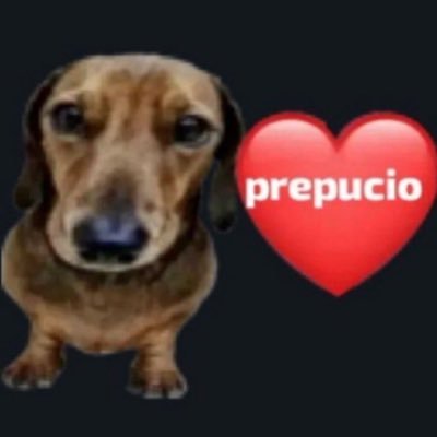 web divo tullo baiano's profile picture