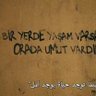 zeynep 的头像