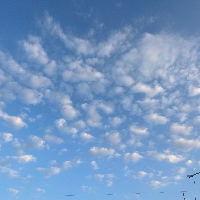 Tmcc1525708's profile picture