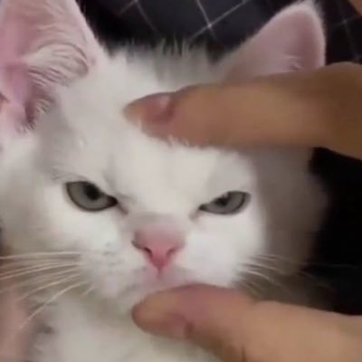 ★ nmmy 🎧⋆｡ °⋆ 𐙚's profile picture