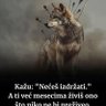 Фото профиля Jovan Ilic