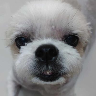 SKY & SUN's profile picture