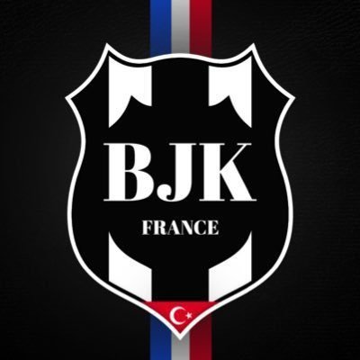 Beşiktaş JK France's profile picture