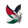 🇮🇳 🇵🇸's profile picture