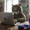 Фото профиля catzy.ai • UGC creator