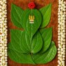Фото профиля सुदुर पश्चिमेली ब्राह्मण