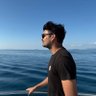 Profilbild von Aditya R Rudra