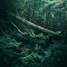 Фото профиля beepduck