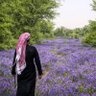 Profilbild von حاتم