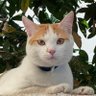 Profilbild von Log