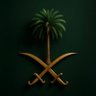Фото профиля Youseef Alharbi 