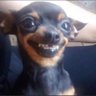 Armatik's profile picture