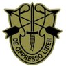 CG's profile picture