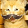 Profilbild von combi 😼