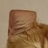 Profilbild von beanpork