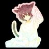 catsevual 的头像